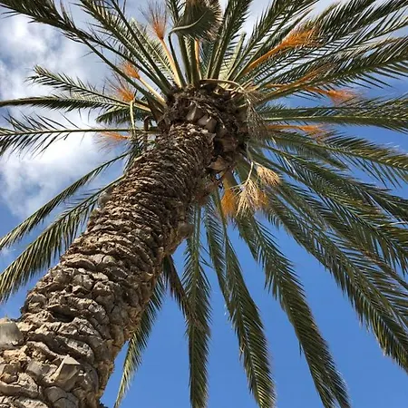 Vakantiepark Paradise